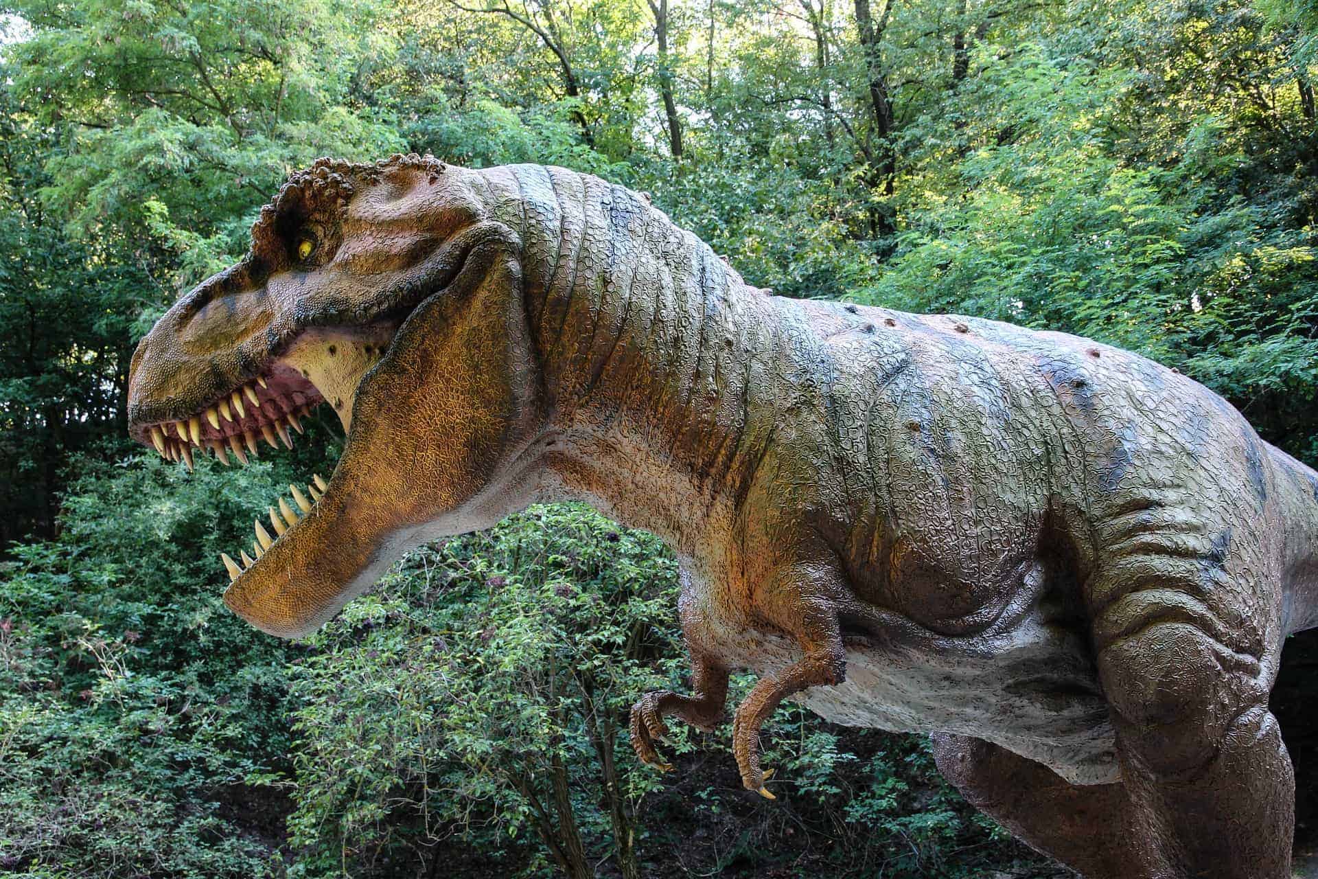 Model Tyrannosaurus Rex