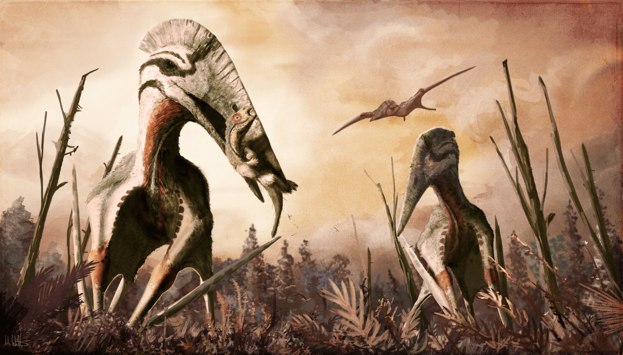 Ilustrație Hatzegopteryx