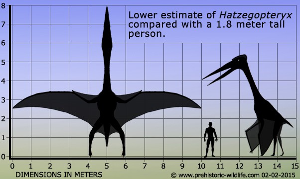 Mărime Hatzegopteryx