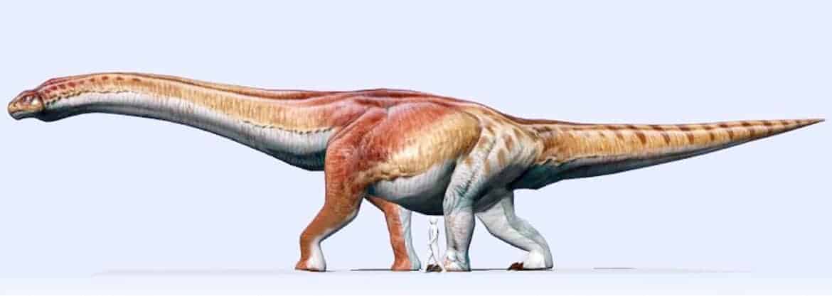 Reproducere Patagotitan mayorum