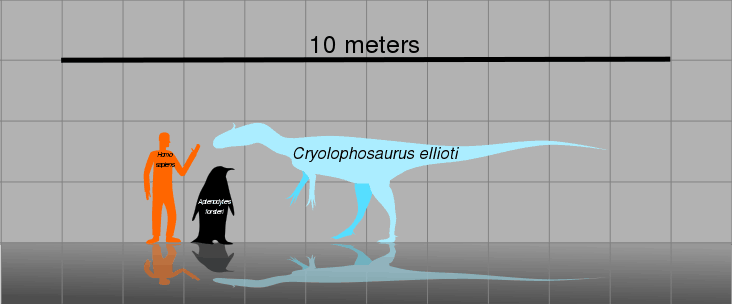 Dimensiune Cryolophosaurus