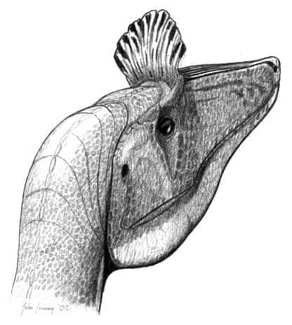 Reproducere creastă Cryolophosaurus