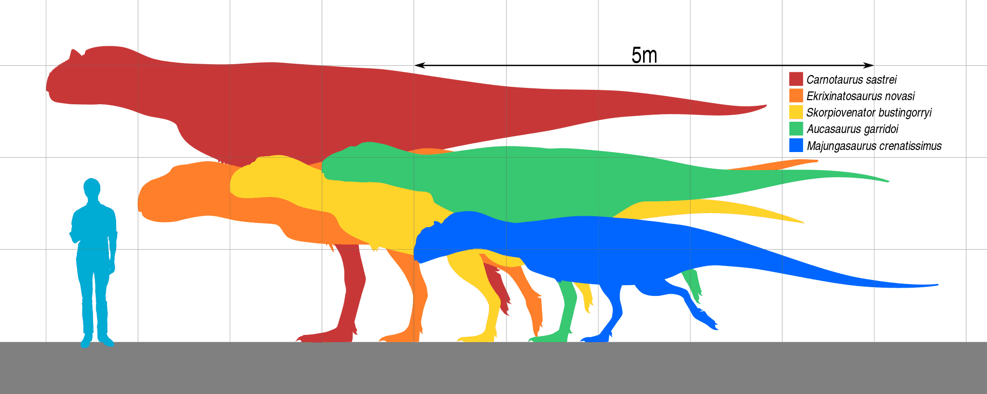 Mărime specii de Abelizaur