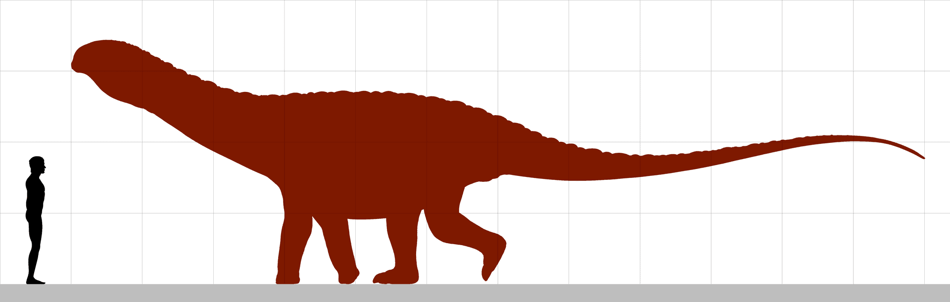 Saltasaurus - dimensiuni estimate