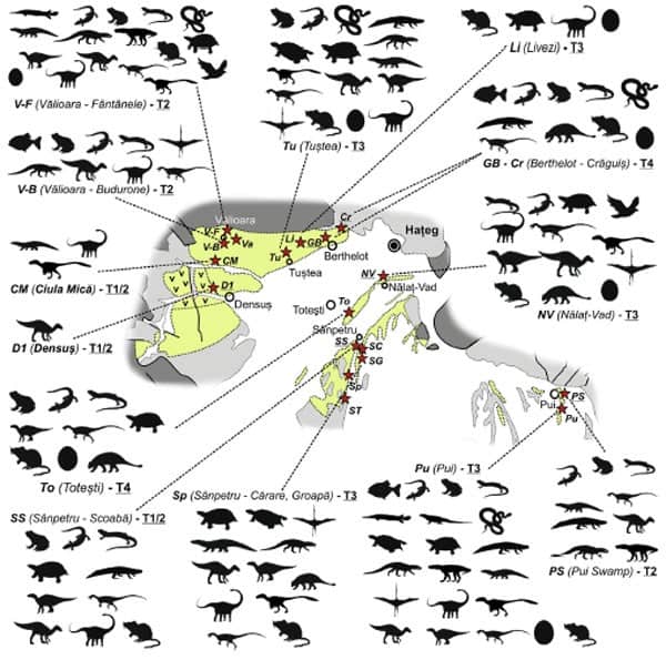 Principalele grupuri de vertebrate fosile ale Bazinului Hațeg din perioada Cretacicului târziu