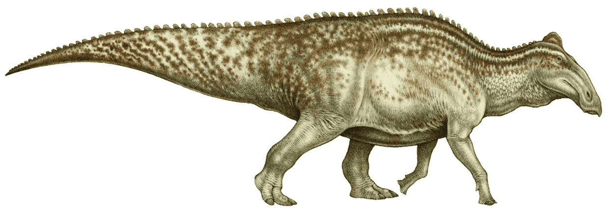 Reconstrucție Edmontosaurus