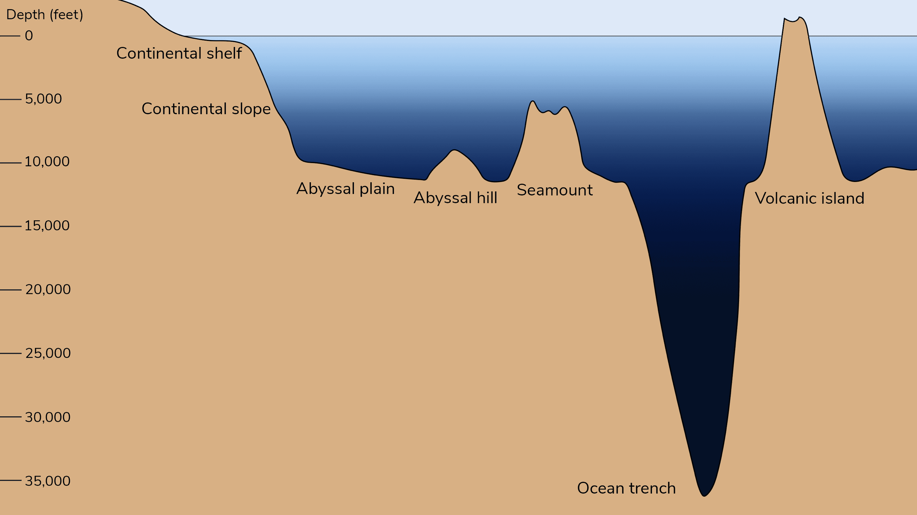 Treptele reliefului marin