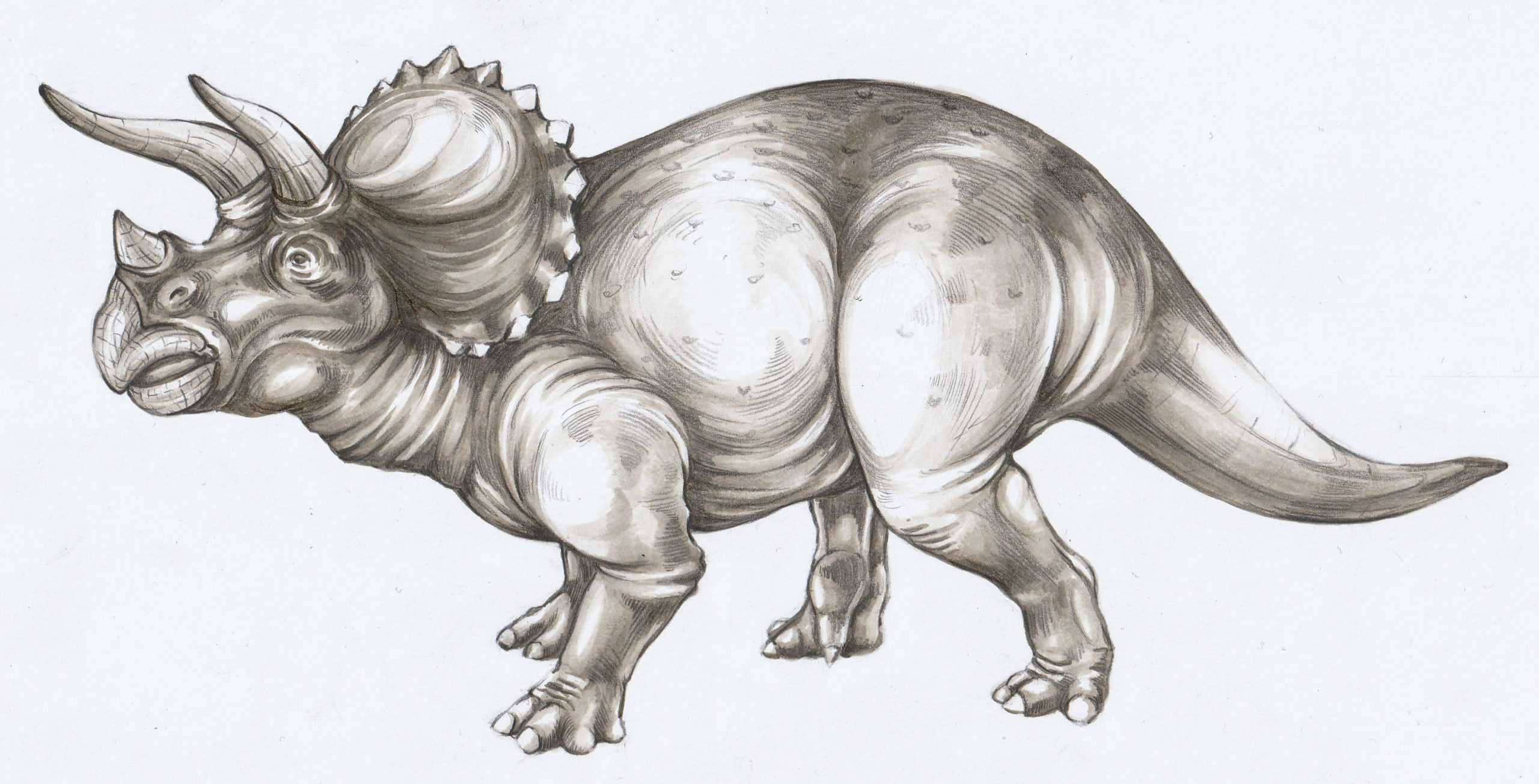 Figura 13 - Ilustrație Triceratops horridus