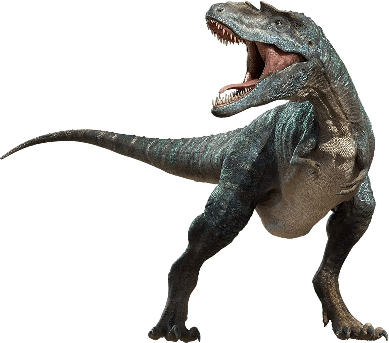 Figura 2 - Ilustrație Tyrannosaurus Rex