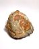 Authentic fossilized dinosaur egg, Dendroolithus genus (Segnosaurus galbinensis), 11.5 cm length, 72 million years old, Cretaceous, China