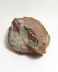 Ou fosilizat autentic de dinozaur genul Dendroolithus (Segnosaurus galbinensis), 11,0 cm lungime, 72 mil ani, Cretacic, China