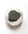 Authentic fossilized turtle shell fragment, 3.8 cm length, 20 million years old, Miocene, USA