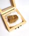 Fragment fosilizat autentic de os de urs de peșteră (Ursus spelaeus), 3,8 cm lungime, 40.000 ani, Pleistocen, Austria