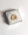 Authentic fossilized fish/shark vertebra, 1.1 cm diameter, 50 million years old, Eocene, Morocco