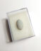 Rare authentic fossilized Ophidenovum sp. snake egg, 2.2 cm length, 50 million years old, Eocene, France
