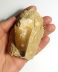 Dinte fosilizat autentic de Mosasaur XL în matrice, 5,6 cm lungime dinte, 70 mil ani, Cretacic, Maroc