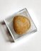 Authentic unprocessed fossilized bivalve, 2.2 cm length, 100 million years old, Cretaceous, Morocco