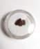 Dinte fosilizat autentic de Triceratops, 1,2 cm lungime, 65 mil ani, Cretacic, SUA