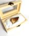 Authentic fossilized XL Mosasaur tooth, 5.2 cm length, 70 million years old, Cretaceous, Morocco
