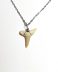 Handmade necklace with Authentic fossilized Sand Tiger Shark tooth, 2.7 cm pendant length, 50 million years old, Eocene, Morocco