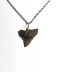 Handmade necklace with Authentic fossilized Bull Shark tooth, 2.4 cm pendant length, 20 million years old, Miocene, USA