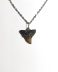 Handmade necklace with Authentic fossilized Bull Shark tooth, 2.1 cm pendant length, 20 million years old, Miocene, USA