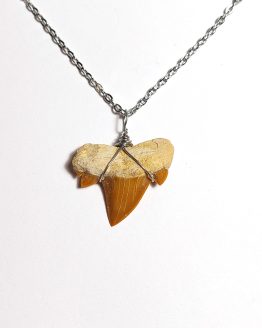 Handmade necklace with Authentic fossilized Cretalamna maroccana shark tooth, 2.7 cm pendant length, 50 million years old, Eocene, Morocco
