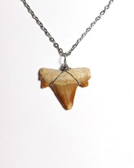 Handmade necklace with Authentic fossilized Cretalamna maroccana shark tooth, 2.7 cm pendant length, 50 million years old, Eocene, Morocco