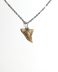 Colier handmade cu dinte fosilizat autentic de rechin Hemipristis serra, 2,0 cm lungime pandantiv, 2,5 - 22 mil ani, Pliocen/Miocen, SUA