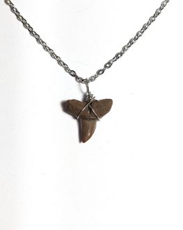 Handmade necklace with Authentic fossilized Negaprion sp. Lemon Shark tooth, 1.9 cm pendant length, 6 million years old, Miocene, USA