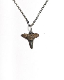Handmade necklace with Authentic fossilized Negaprion sp. Lemon Shark tooth, 1.8 cm pendant length, 6 million years old, Miocene, USA