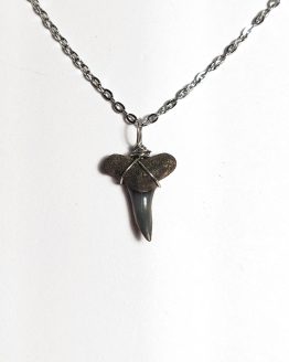 Handmade necklace with Authentic fossilized Negaprion sp. Lemon Shark tooth, 2.0 cm pendant length, 6 million years old, Miocene, USA