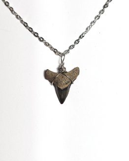 Handmade necklace with Authentic fossilized Negaprion sp. Lemon Shark tooth, 2.0 cm pendant length, 6 million years old, Miocene, USA