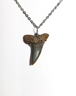 Handmade necklace with Authentic fossilized Black Mako Shark tooth, 3.3 cm pendant length, 15 million years old, Miocene, Belgium